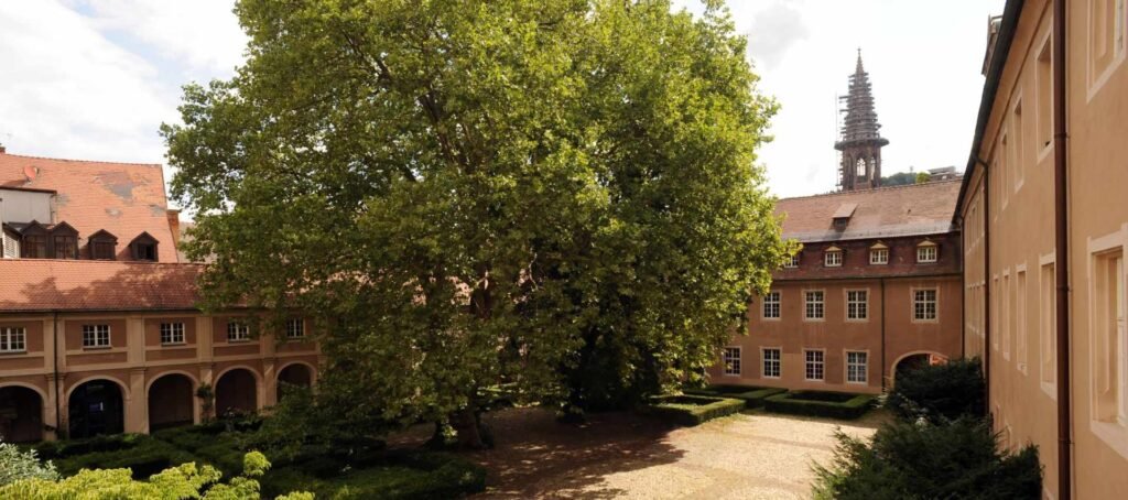 University of Freiburg